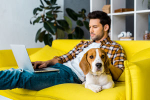 Online präsentieren – mit Hunden ist zu rechnen